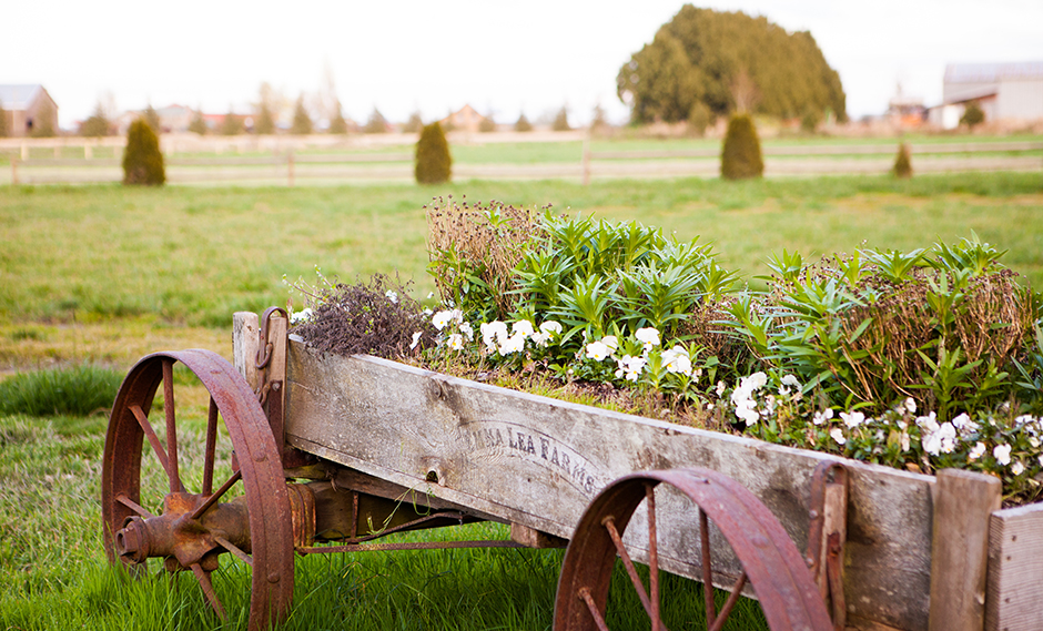 Hampton Cove Ladner