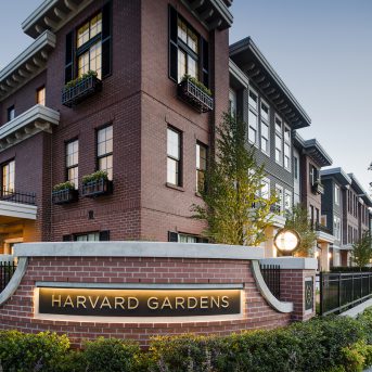 Harvard Gardens rendering