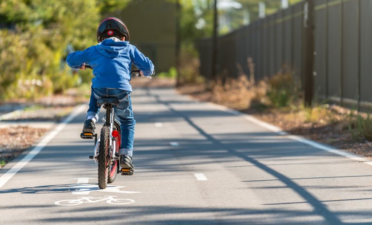 Union Park Langley Condos