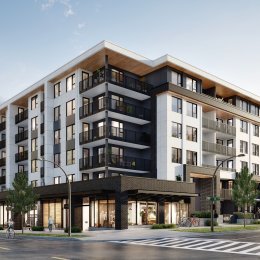 Halo Project Driver Image